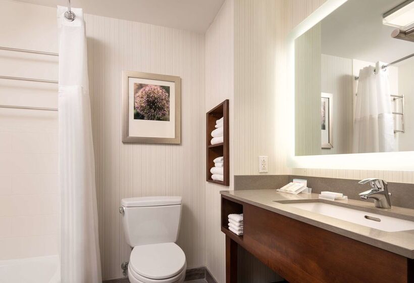 فندق Hilton Garden Inn Long Island City New York