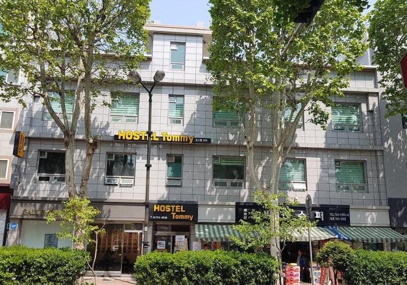 בית מלון כפרי Hostel Tommy