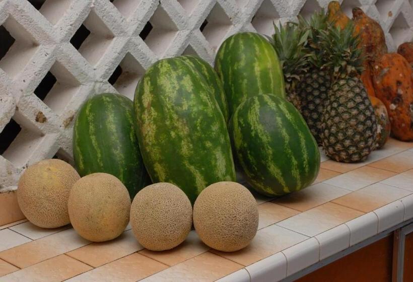 酒店 Maria De La Luz