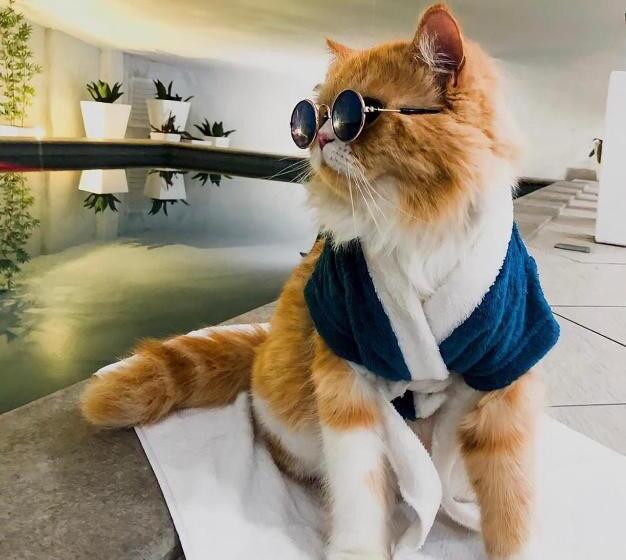 هتل Marimar The Place