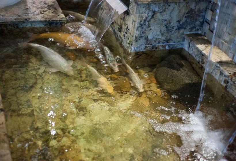 هتل Marimar The Place