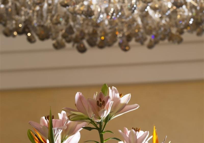 هتل Occidental Lac Tunis