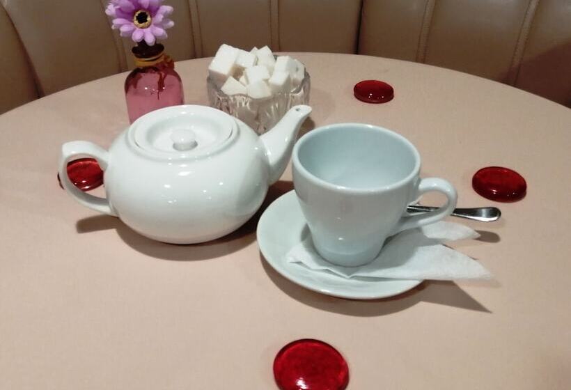 酒店 Prince Vladimir