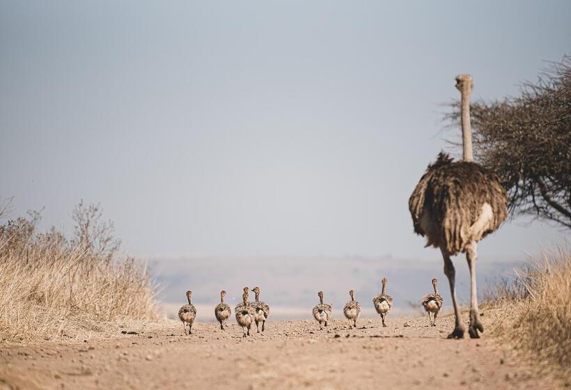 בית מלון כפרי Tala Game Reserve