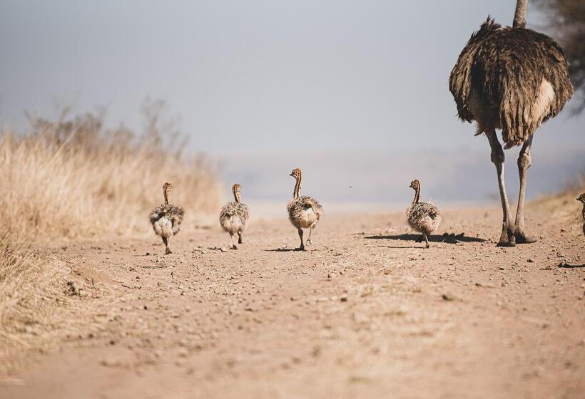 בית מלון כפרי Tala Game Reserve
