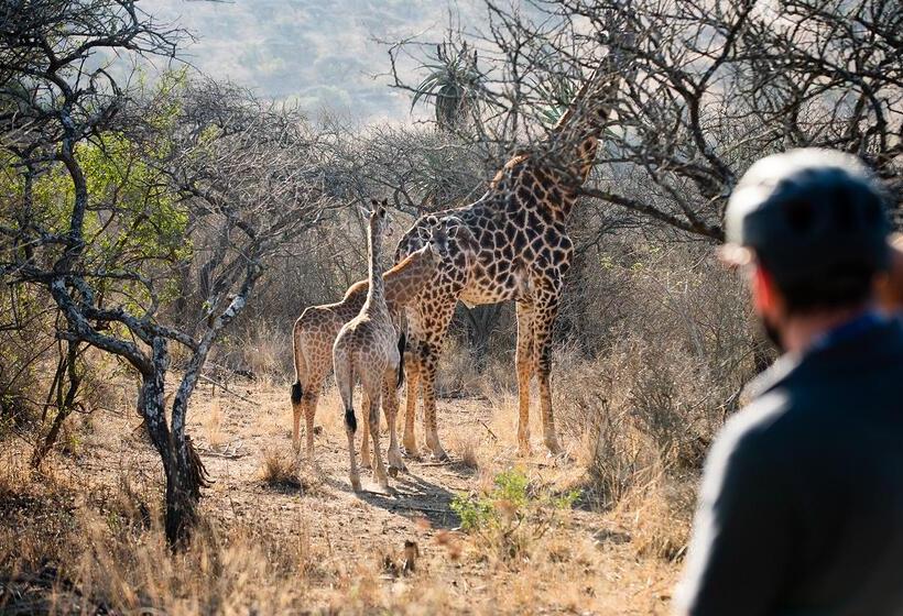 בית מלון כפרי Tala Game Reserve