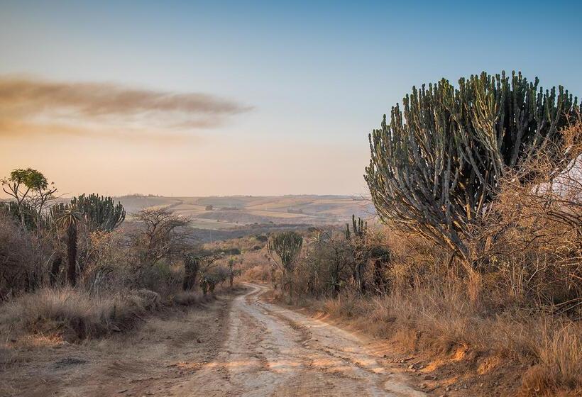 בית מלון כפרי Tala Game Reserve