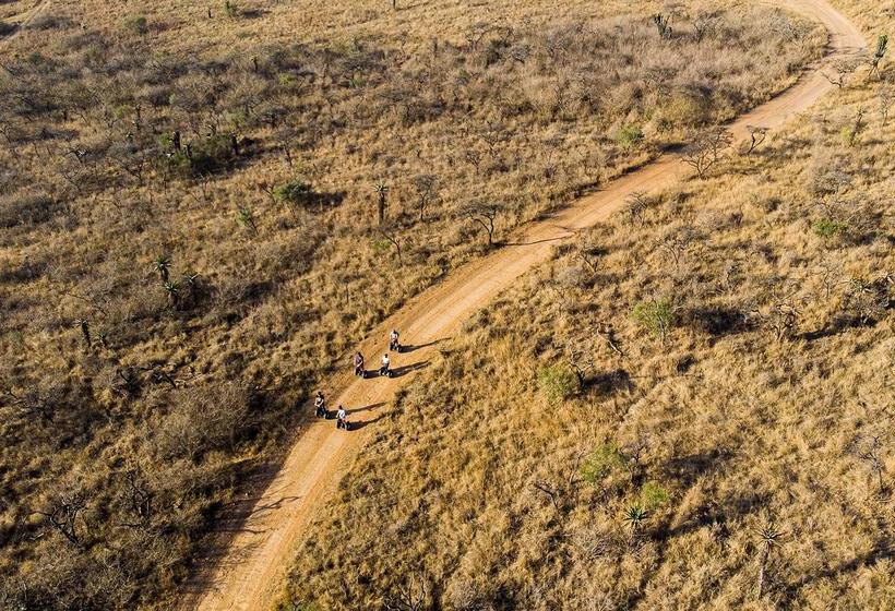 בית מלון כפרי Tala Game Reserve