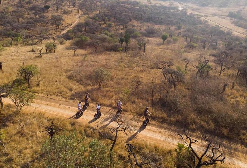 בית מלון כפרי Tala Game Reserve