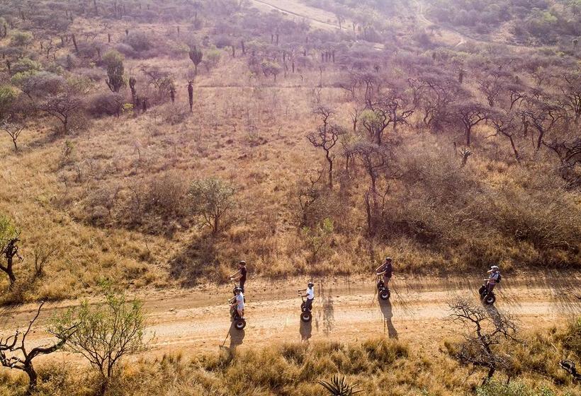 בית מלון כפרי Tala Game Reserve