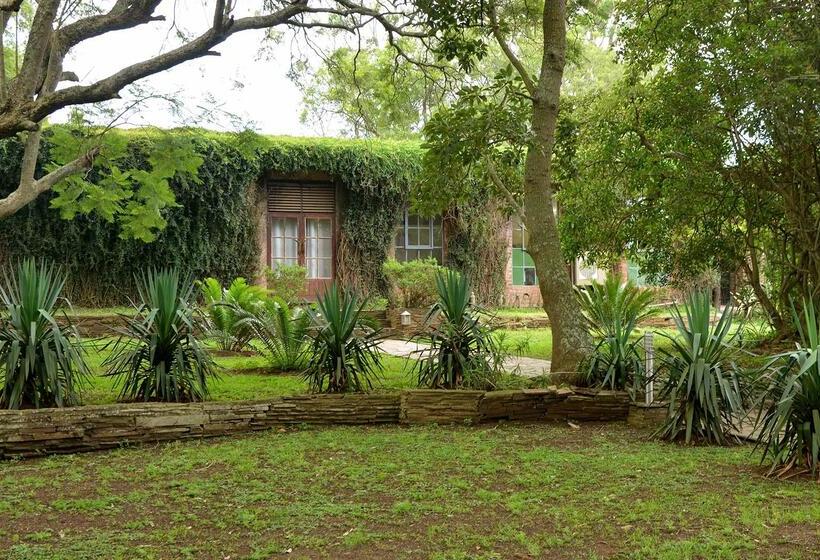 בית מלון כפרי Tala Game Reserve