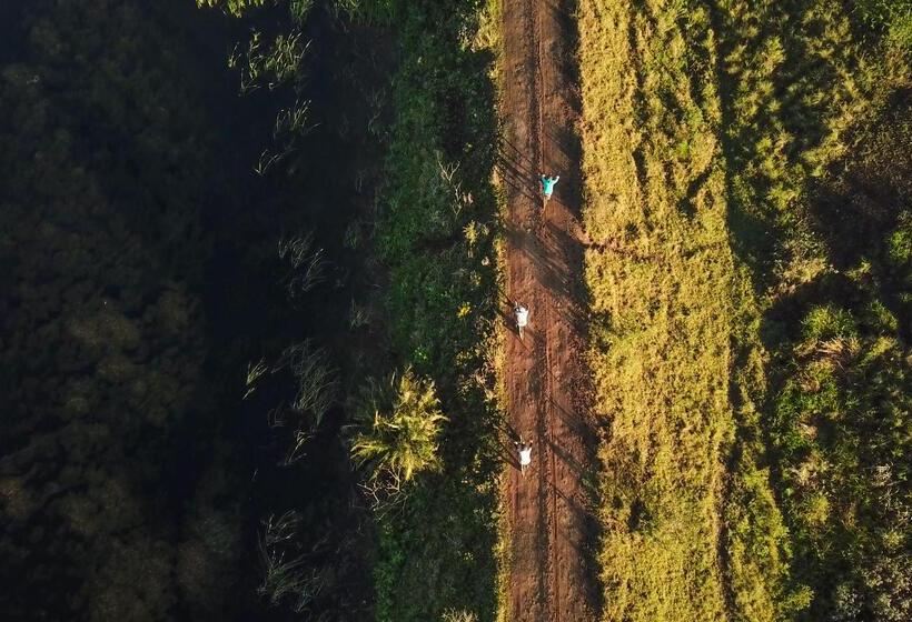 בית מלון כפרי Tala Game Reserve