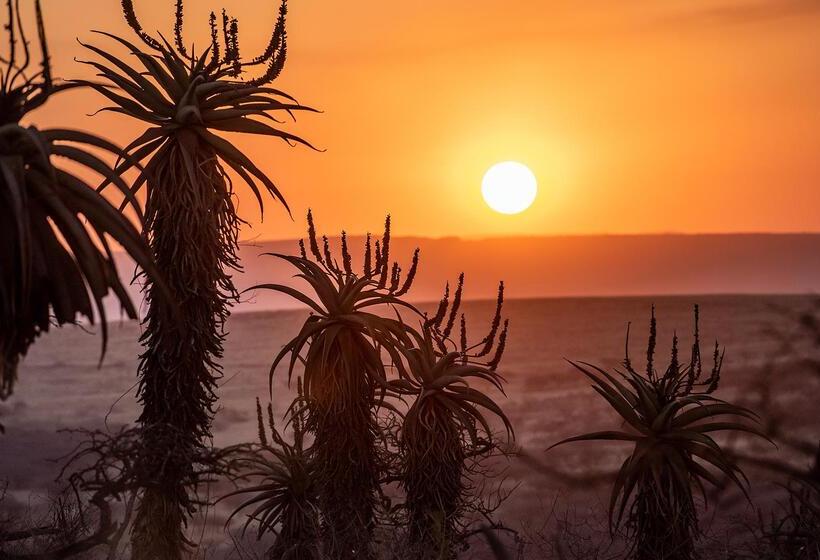 בית מלון כפרי Tala Game Reserve