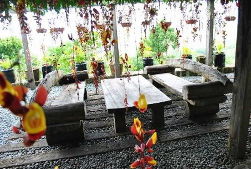 فندق Ten Cents To Heaven