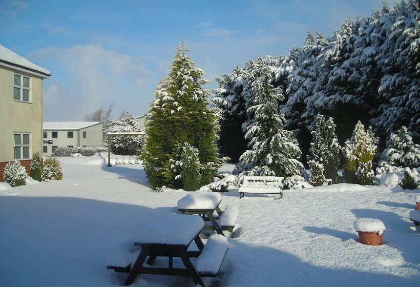 فندق The Windmill