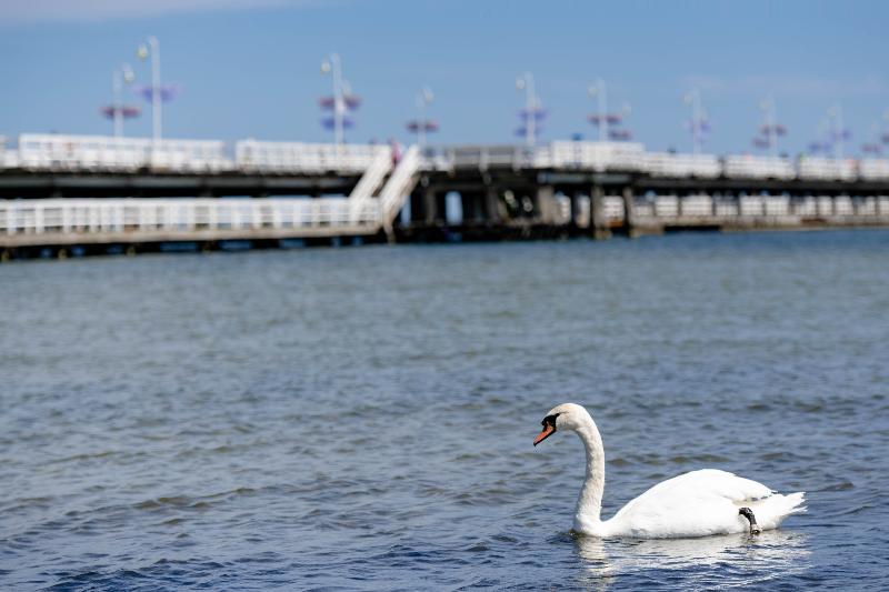 Villa Sedan   Destigo Hotels