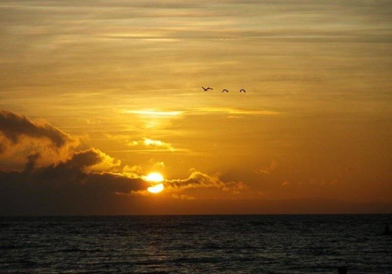 هتل Wellbeach Dive Resort