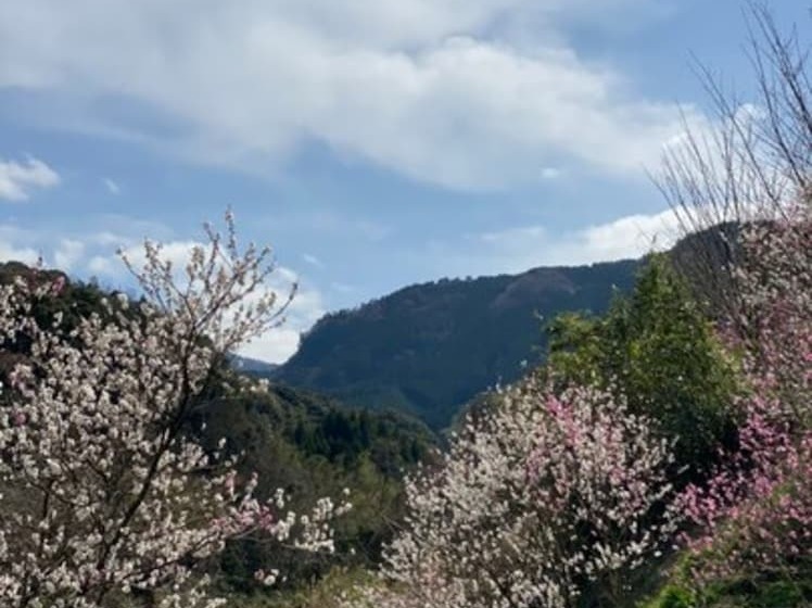 فندق Yufuin Ryoan Wazanhou