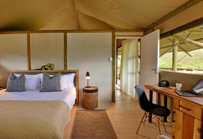 فندق Garden Route Safari Camp