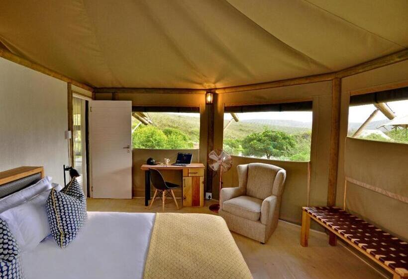 فندق Garden Route Safari Camp
