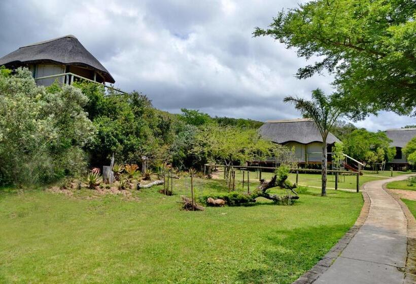 فندق Garden Route Safari Camp