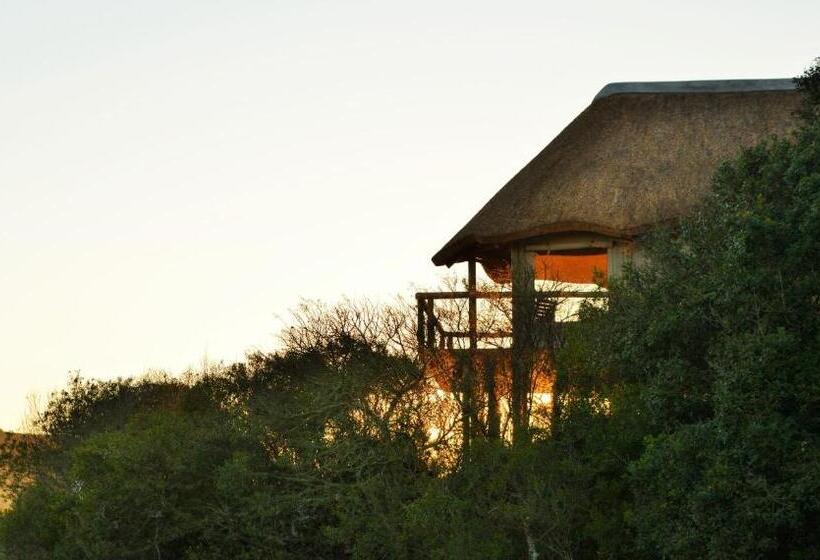فندق Garden Route Safari Camp