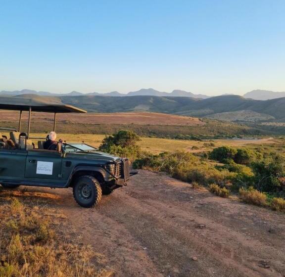 فندق Garden Route Safari Camp