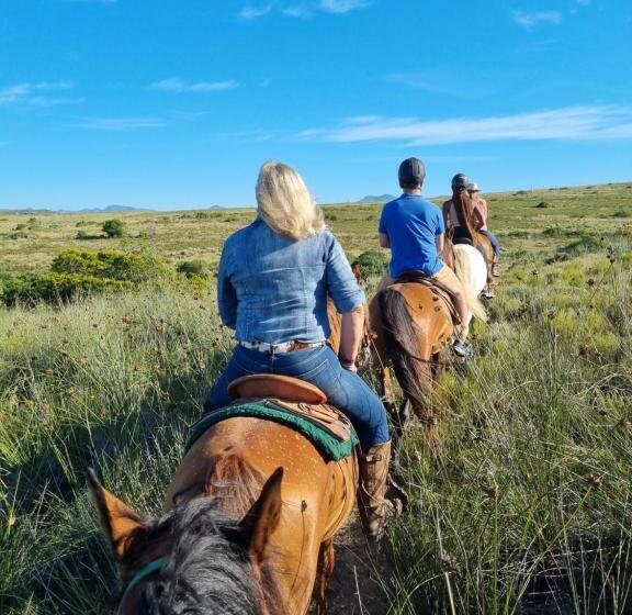 فندق Garden Route Safari Camp
