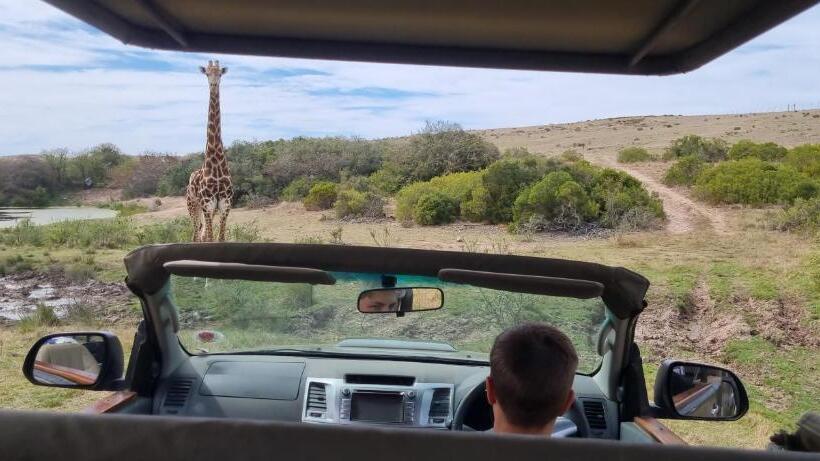 فندق Garden Route Safari Camp