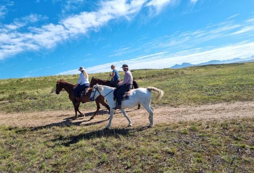 فندق Garden Route Safari Camp