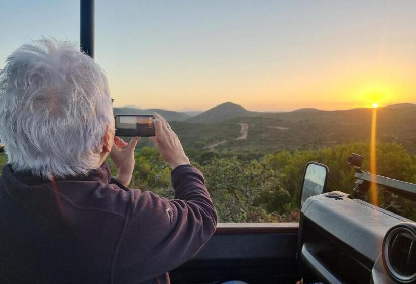 فندق Garden Route Safari Camp