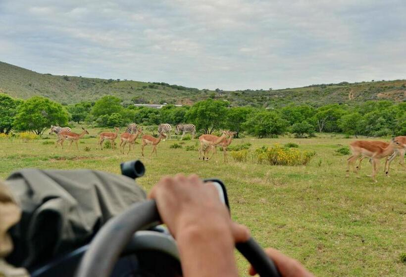 فندق Garden Route Safari Camp