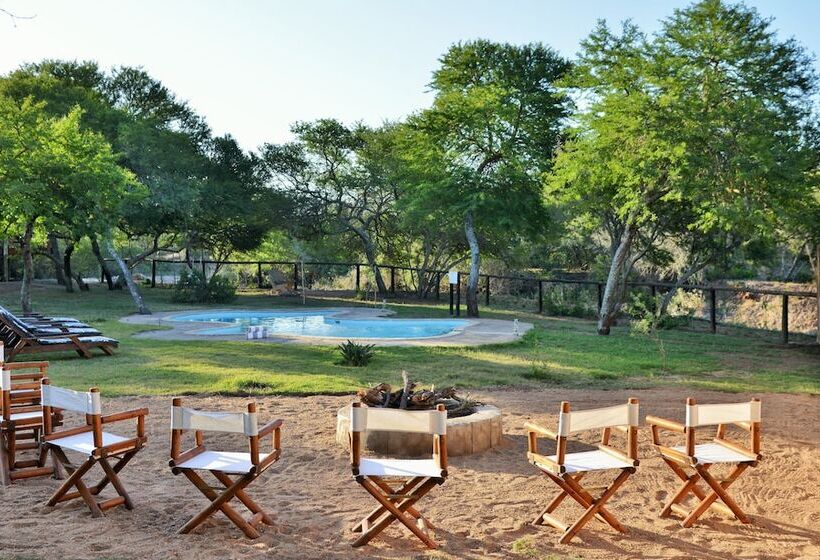 فندق Garden Route Safari Camp
