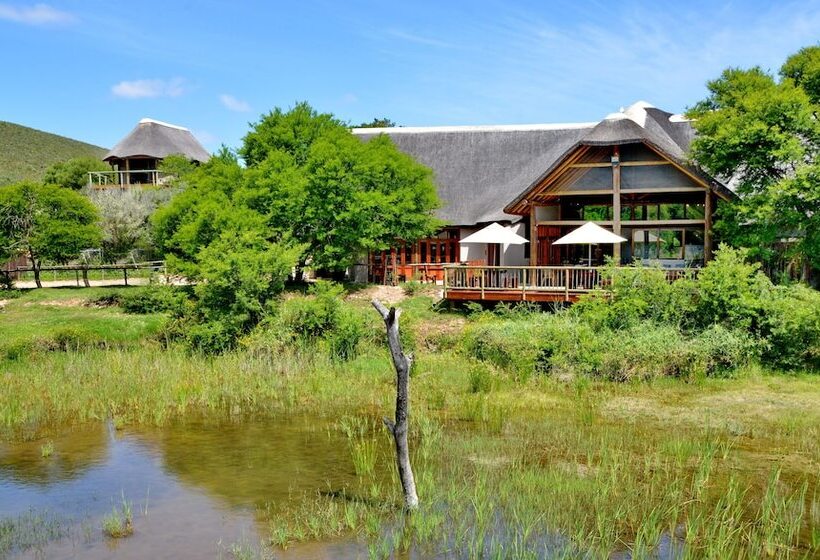 فندق Garden Route Safari Camp