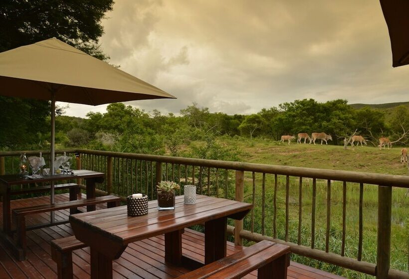 فندق Garden Route Safari Camp