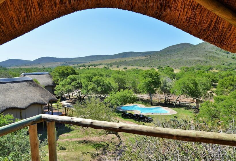 فندق Garden Route Safari Camp