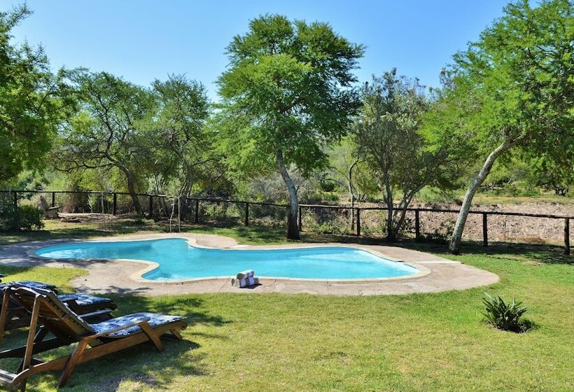 فندق Garden Route Safari Camp