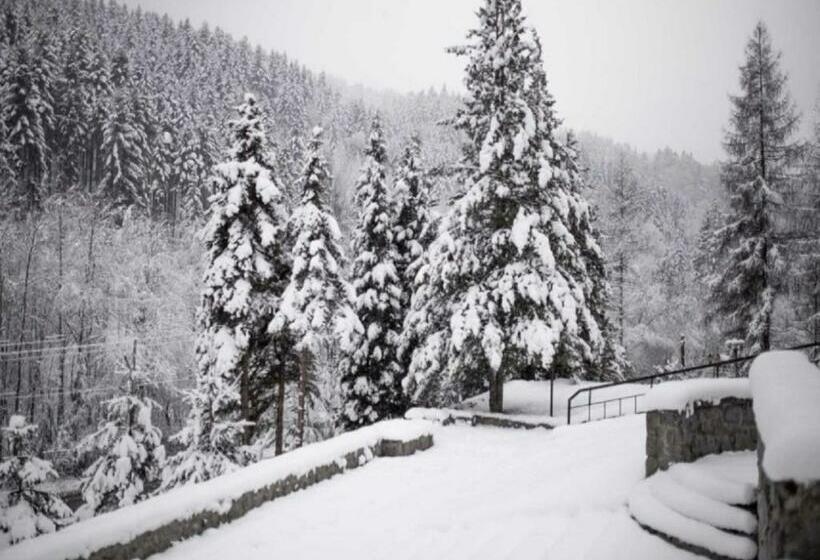 ホテル Nat Piwniczna Zdroj