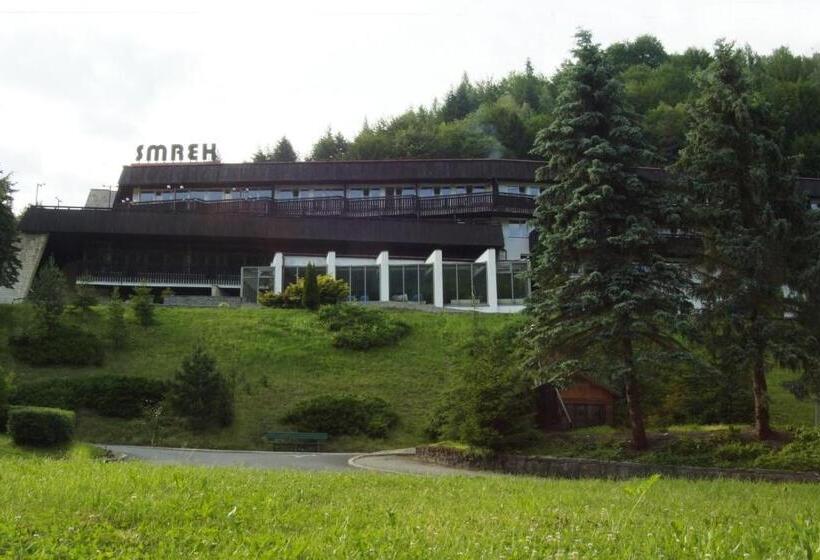 ホテル Nat Piwniczna Zdroj