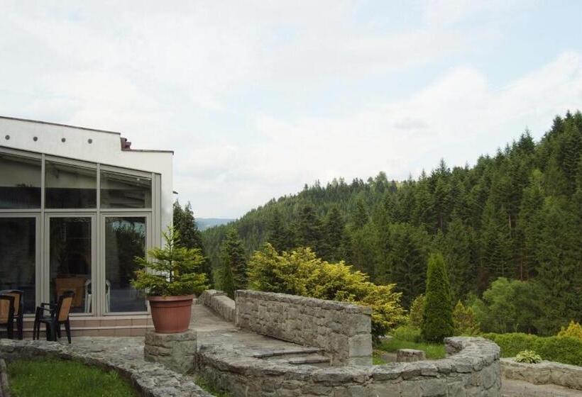 ホテル Nat Piwniczna Zdroj