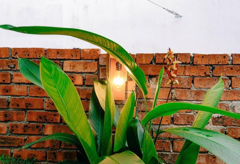 ホテル Rembulan Langkawi Guesthouse