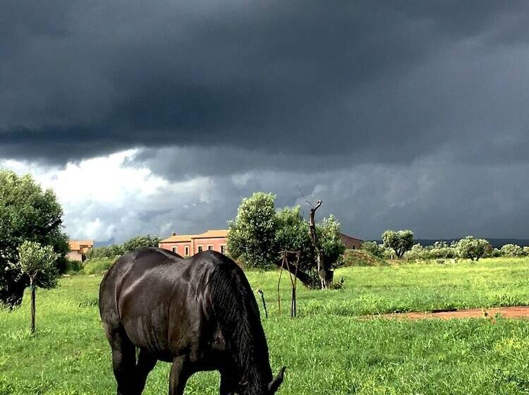 בית מלון כפרי Resort Fonte Vulci