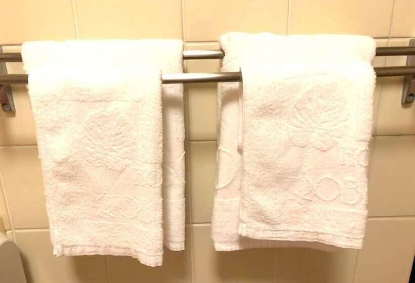 Hotel Robinson Inn Ryukyu Tabikan Mw1