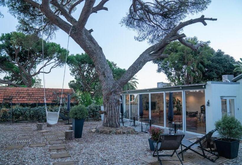 پانسیون A House In Estoril  Adults Only