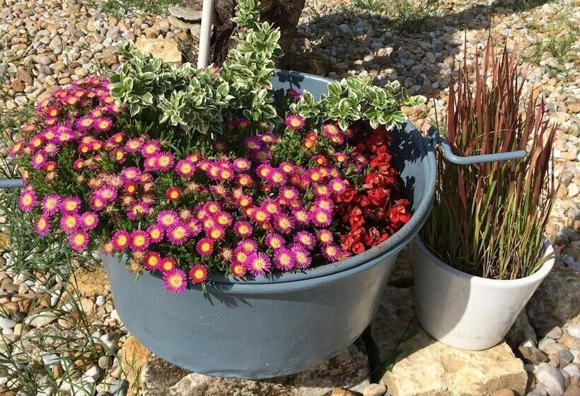 膳宿费 Jardin D Arcy   Chambres D Hôtes Avec Piscine Et Spa