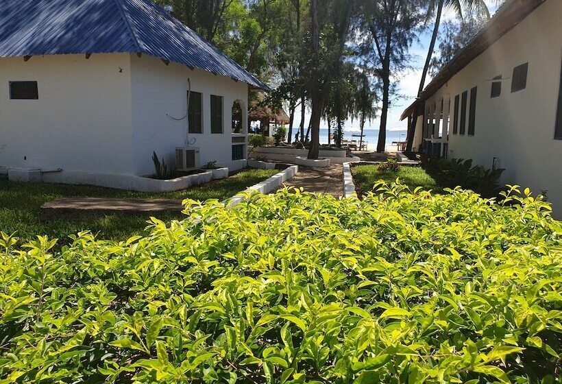 פנסיון Nungwi Inn Beach Cottages