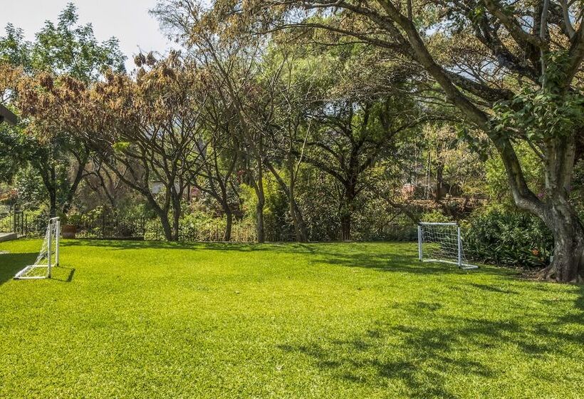 酒店 Amate Del Rio