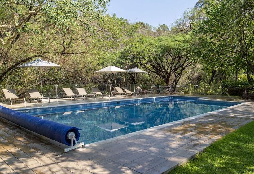 酒店 Amate Del Rio