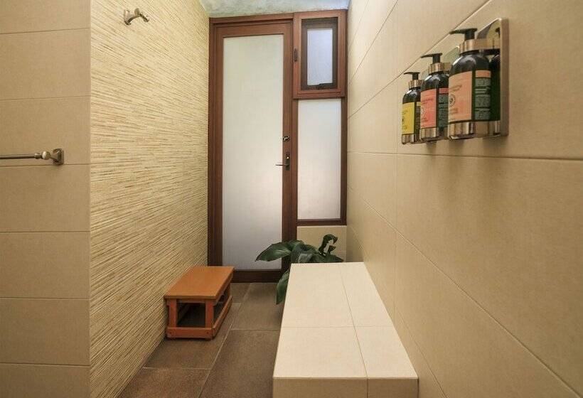 酒店 Amate Del Rio