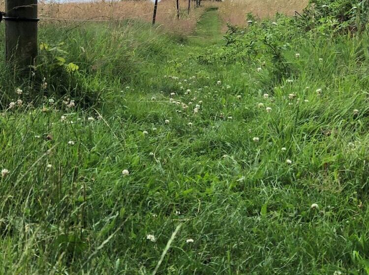 酒店 Hjarbæk Fjord Golfcenter